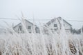 The first snow in the plains of Vojvodina. Novi Sad  Serbia Royalty Free Stock Photo