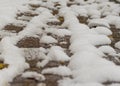 The first snow and yellow leaves lie on the sidewalk in the fall. Cloudy weather after snow