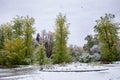 First snowfall in autumn city park. Snow covered large trees, flower bed, benches in urban park. Royalty Free Stock Photo