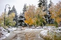 First snowfall in autumn city park. White wet snow covered trees and bushes foliage. Royalty Free Stock Photo