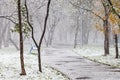 First snowfall in city park in autum Royalty Free Stock Photo