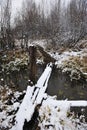 After the first snowfall Royalty Free Stock Photo