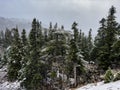 First snowfall of the season and magnificent nature views in the forest area Royalty Free Stock Photo