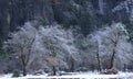 First snowfall Yosemite National Park near Bridalveil Falls Royalty Free Stock Photo