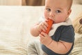 First solid food for young kid. Fresh organic carrot for vegetable lunch. Baby weaning. Royalty Free Stock Photo