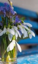 First spring flowers. White snowdrops and small blue flowers. Springtime concept. Small bouquet in vase. Romantic bouquet. Royalty Free Stock Photo