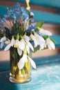 First spring flowers. White snowdrops and small blue flowers. Springtime concept. Small bouquet in vase. Romantic bouquet. Royalty Free Stock Photo