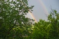 First spring rainbow, spring background