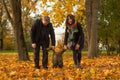 First steps. Happy mother, father and little baby boy in autumn park outdoor. Real family walking in fall park Royalty Free Stock Photo