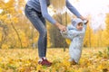 First steps of little kid in autumn park. Mother teaching her cute little son to walk. Royalty Free Stock Photo