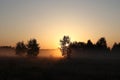 The first sun rays breaks through the branches of a trees at sunrise. Beautiful summer misty morning Royalty Free Stock Photo