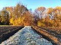 First sunbeams of the day in wonderful picturesque frozen autumn landscape Royalty Free Stock Photo