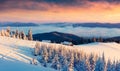 First sunlight glowing mountain hills and valleys in Carpathians. Dramatic winter sunrise in mountain farm with snow covered fir