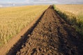 First tillage trench in the crop field