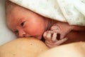 First time of a newborn baby breast-feeding Royalty Free Stock Photo
