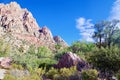 First Creek Trail, Red Rock National Conservation Area, Nevada Royalty Free Stock Photo