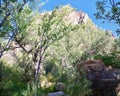 First Creek Trail, Red Rock National Conservation Area, Nevada Royalty Free Stock Photo