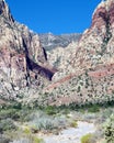 First Creek Trail, Red Rock National Conservation Area, Nevada Royalty Free Stock Photo