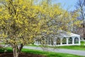 Early Spring Scene, with Seasonal Party Tent Royalty Free Stock Photo