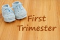 First Trimester message with blue baby booties