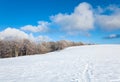 First winter snow and mountain beech forest Royalty Free Stock Photo