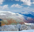 First winter snow and mountain beech forest Royalty Free Stock Photo