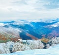 First winter snow and mountain beech forest Royalty Free Stock Photo