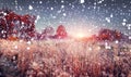 First winter snowfall in November frosty morning at sunrise. Snowflakes fall on grass covered with hoarfrost. Royalty Free Stock Photo