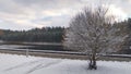 After the first winter snowfall, snow lies on the banks of the river and tree branches. One of the banks is concreted, a pedestria Royalty Free Stock Photo