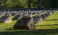 First world war old graveyard gravestone