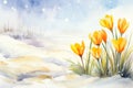 the first yellow crocuses, located on the right, make their way through the snow, symbolizing the beginning of spring and a new Royalty Free Stock Photo