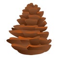 Firtree pine cone icon, cartoon style