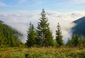 Firtrees on glade in mountains above haze and clouds sunrise Royalty Free Stock Photo