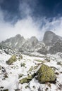 Firts snow in mountans vertical