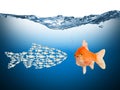 Fisch teamwork concept Royalty Free Stock Photo