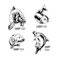 Fish. Set of hand drawn vector illustrations of fish. Collection of sketch carp Royalty Free Stock Photo