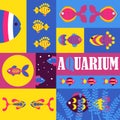 Fish abstract colorful collage, vector illustration. Background, icons and stickers for pet shop with decorative Royalty Free Stock Photo