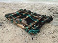 Fish aggregating device washed up on beach