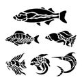 Fish Animal Aquatic Black Silhouette Illustration Vector