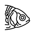 fish animal zoo line icon vector illustration Royalty Free Stock Photo