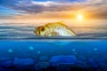 Fish that are approaching dying, floating on the surface, the impact of plastic waste in the sea concepts of nature conservation Royalty Free Stock Photo