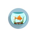 fish in aquarium colorful flat icon with long shadow