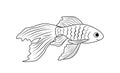 Fish. Aquarium fish. Coloring page.Black and white fish. Vector