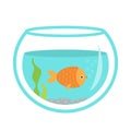 Fish in the aquarium. goldfish swim. Glass vase with water. Cute cartoon kawaii funny baby character. Pet collection. Childish Royalty Free Stock Photo