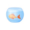 A fish in an aquarium. A goldfish swims in a round aquarium. Fish in the water. Vector illustration isolated on a white Royalty Free Stock Photo