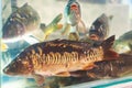 The fish in the aquarium.A group of live carp on sale in a supermarket.Selective focus.