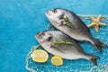 Fish arrangement with lemon top view. High quality and resolution beautiful photo concept