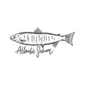 Fish Atlantic Salmon. Hand drawn vector illustration. Engraving style. Isolated on white background. Royalty Free Stock Photo