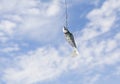 Fish bait with hook against a blue summer sky.