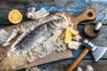 Fish baked in salt with lemon and oil, top view Royalty Free Stock Photo